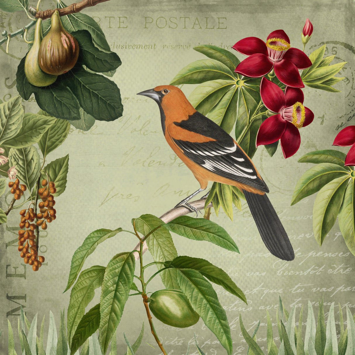 Vintage Birds Poster och Canvastavla