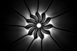Black sunflower Poster och Canvastavla