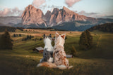 Family adventure Poster och Canvastavla