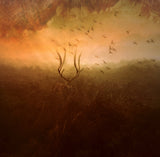 Mother Nature's Son Poster och Canvastavla