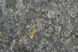 Tex Surface S5 Poster och Canvastavla