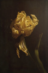Flower Poster och Canvastavla