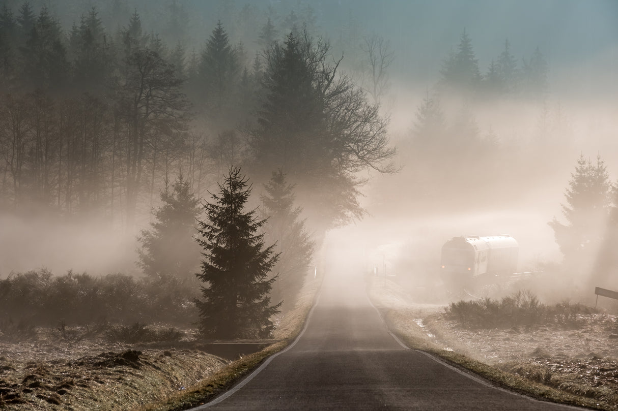 Magic morning Poster och Canvastavla