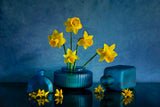 Yellow Daffodil Poster och Canvastavla