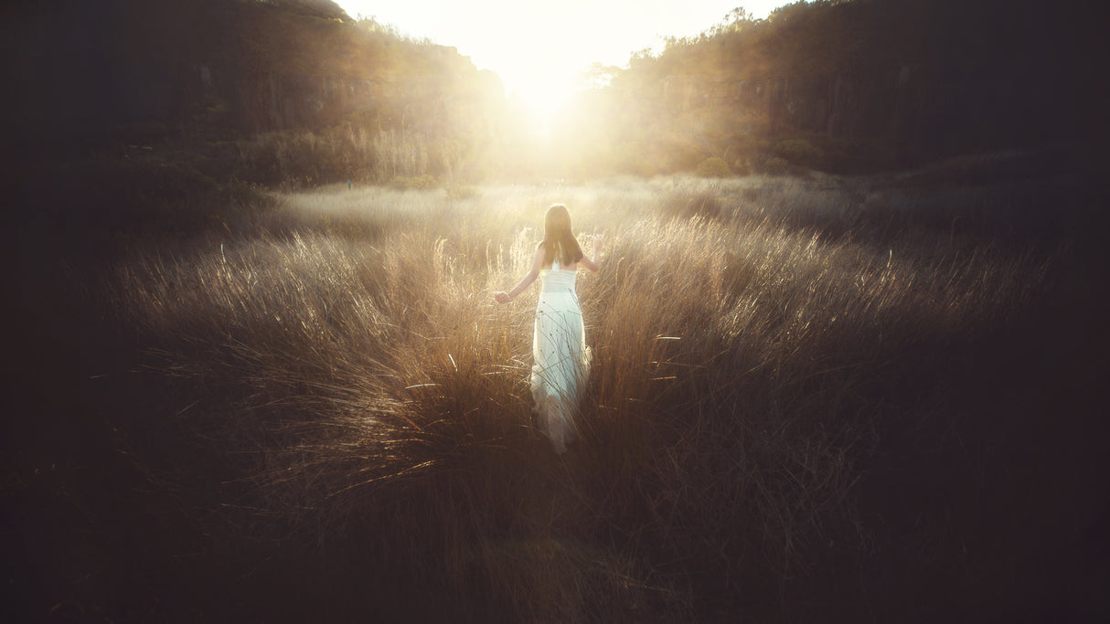 Chase the Sun Poster och Canvastavla