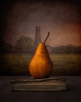 Pear Poster och Canvastavla