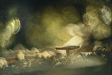 Where light is Poster och Canvastavla
