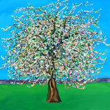 Apple Blossom Poster och Canvastavla