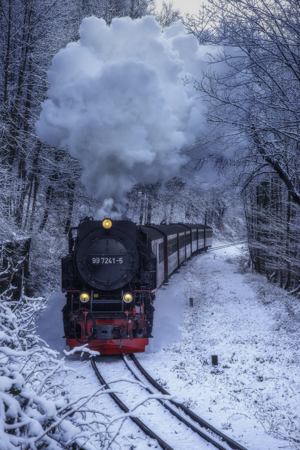 Gushing through the Frozen forest Poster och Canvastavla