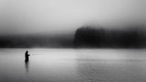 The Fog Catcher Poster och Canvastavla