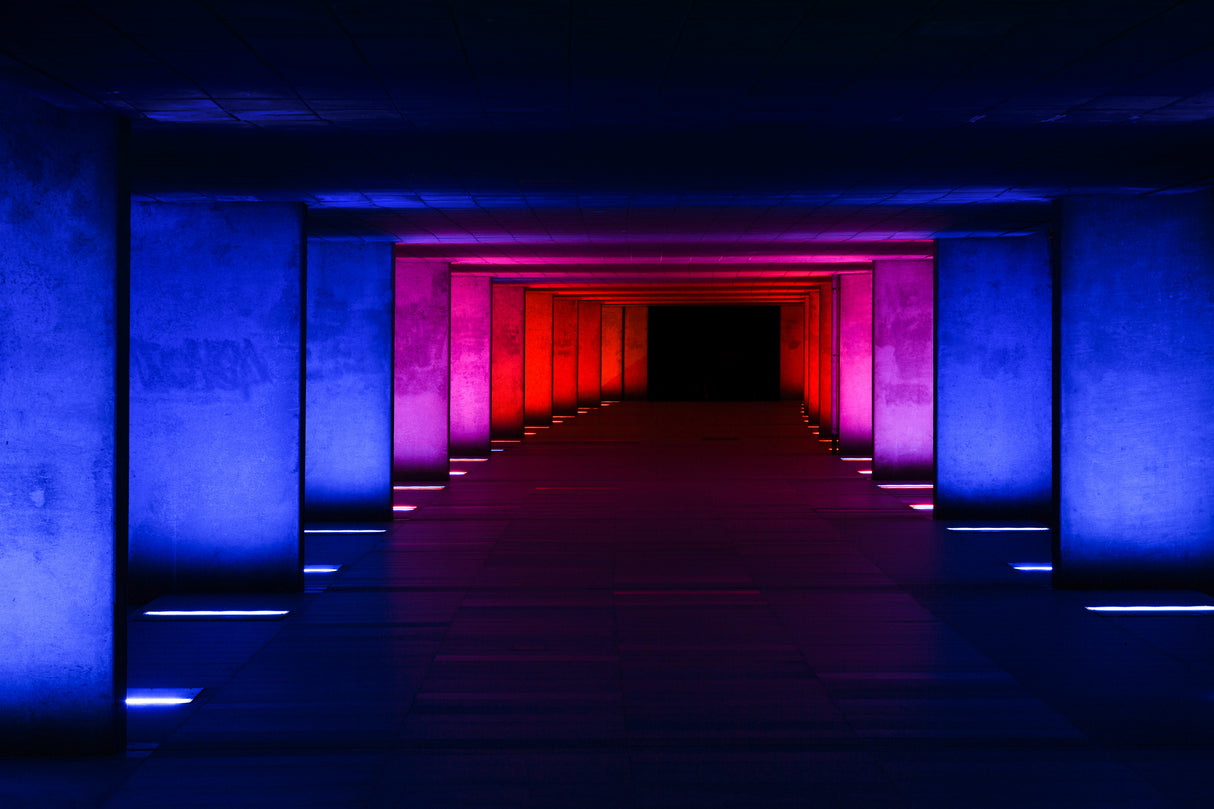the tunnel Poster och Canvastavla