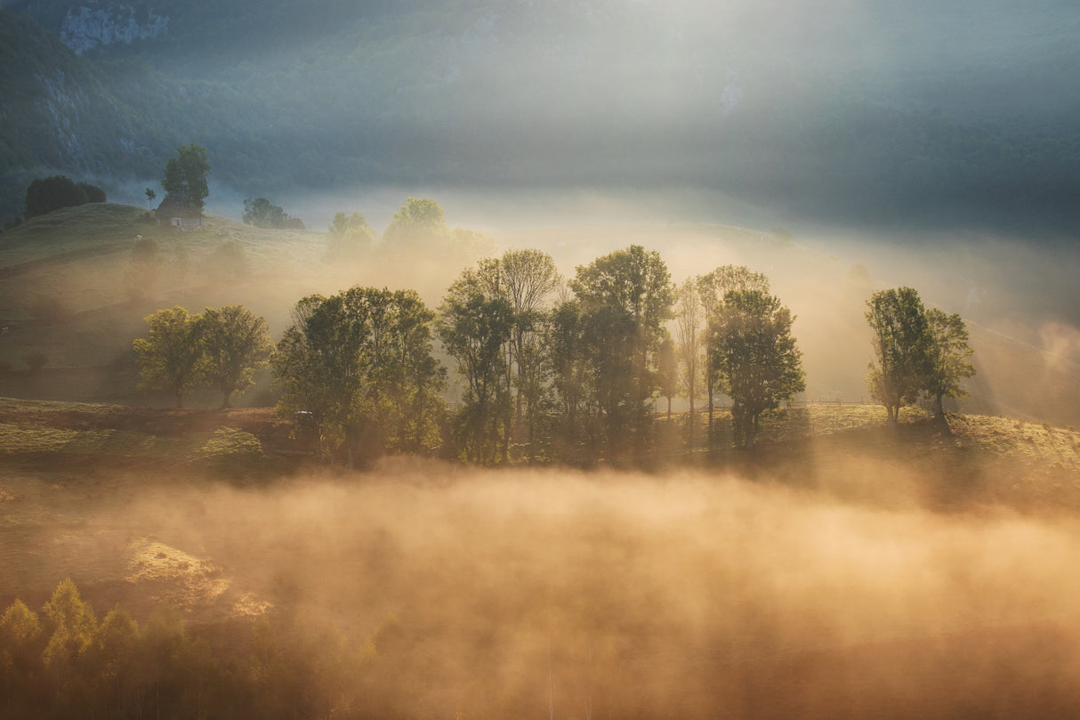 Sunrise veil Poster och Canvastavla
