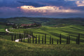Tuscany - Crete Senesi Poster och Canvastavla