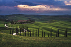 Tuscany - Crete Senesi Poster och Canvastavla