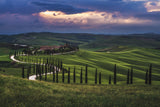 Tuscany - Crete Senesi Poster och Canvastavla