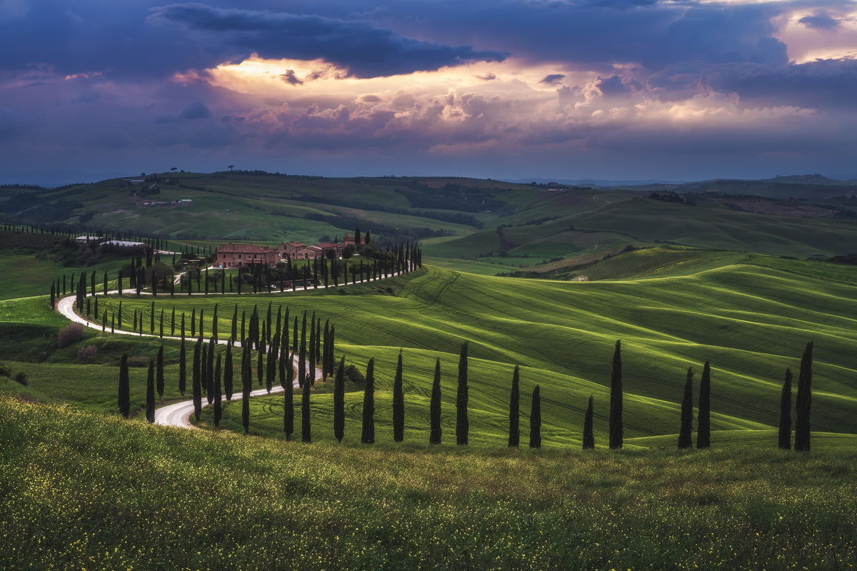 Tuscany - Crete Senesi Poster och Canvastavla