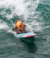 Surfing Dog Poster och Canvastavla