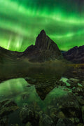 Blaze of Beauty Poster och Canvastavla