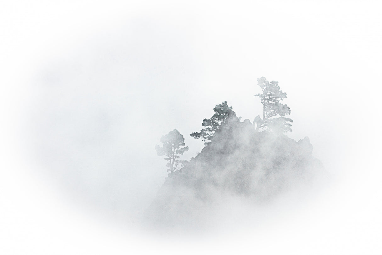 mystic Mountain Poster och Canvastavla