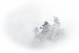 mystic Mountain Poster och Canvastavla
