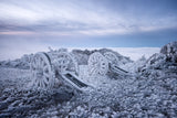 Winter on Shipka Peak Poster och Canvastavla