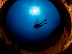 Diver Poster och Canvastavla