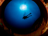 Diver Poster och Canvastavla