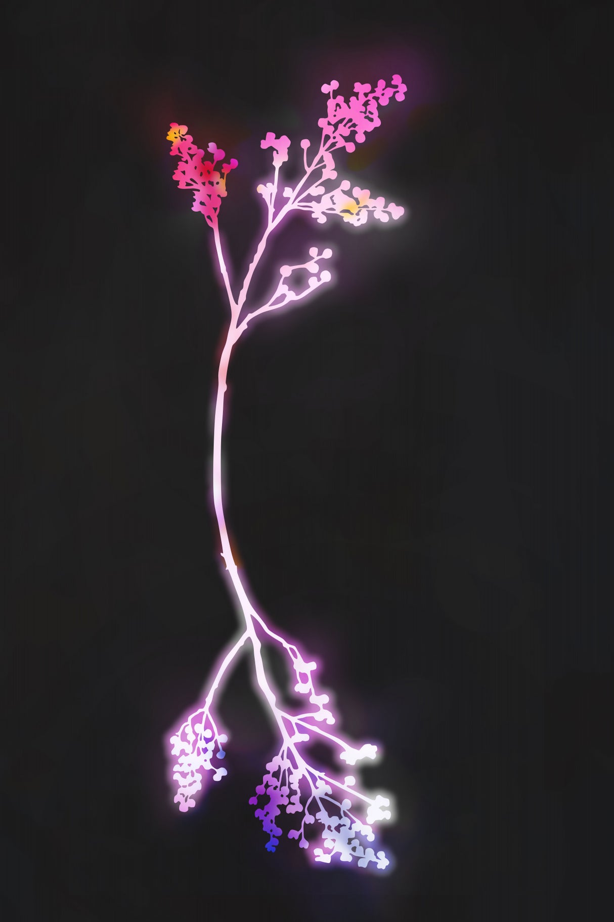 Florescence Fuschia Flowers Poster och Canvastavla