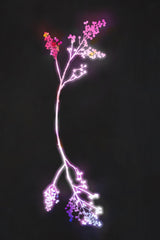 Florescence Fuschia Flowers Poster och Canvastavla