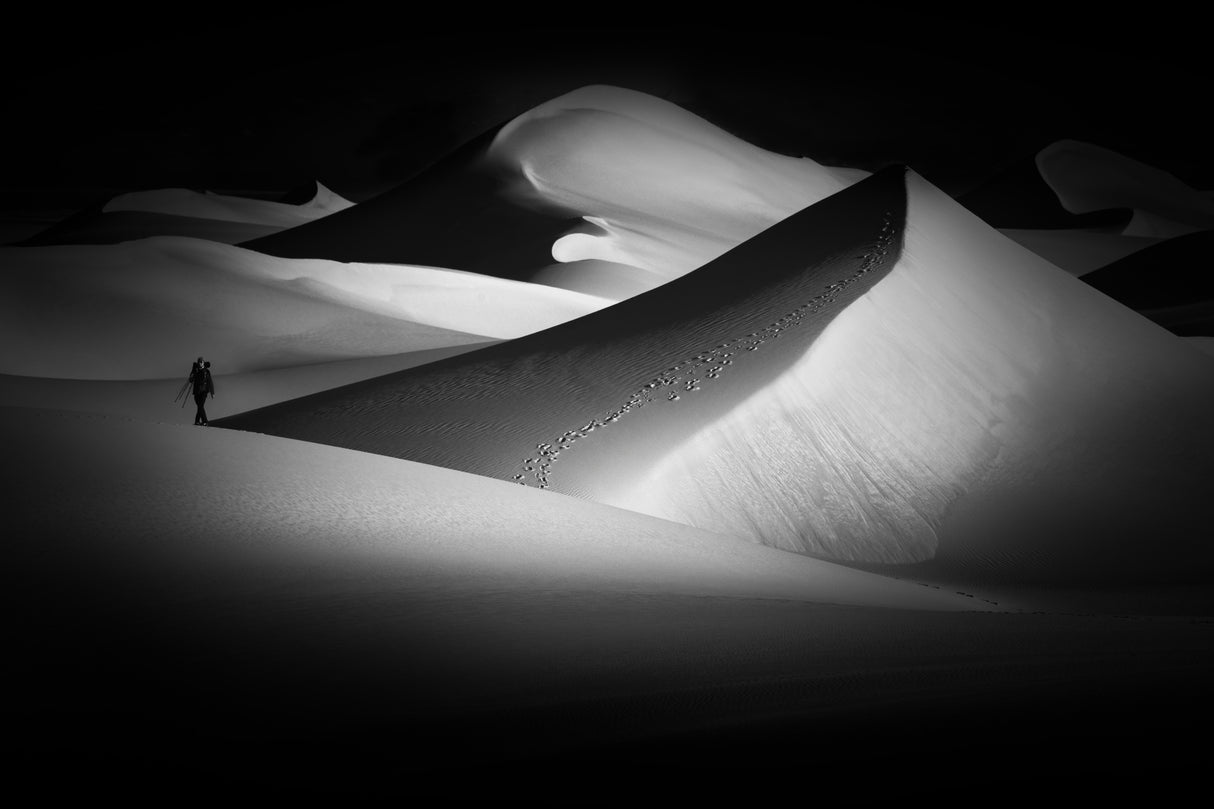 The road in the dunes... Poster och Canvastavla