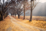 In the middle of autumn Poster och Canvastavla