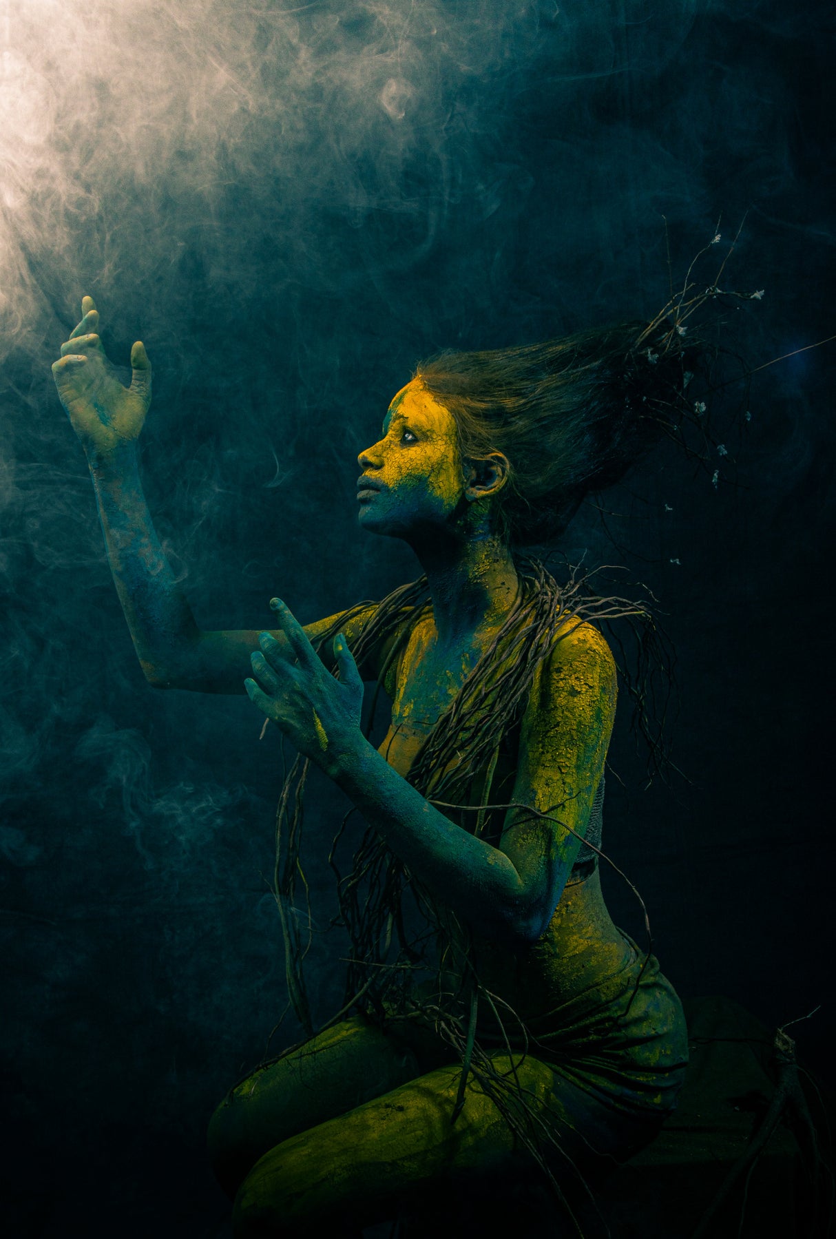 Lost Mermaid Poster och Canvastavla