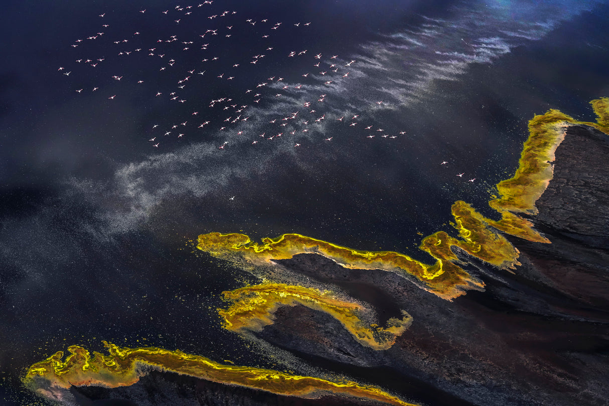 Flying Over Lake Magadi - 5 Poster och Canvastavla