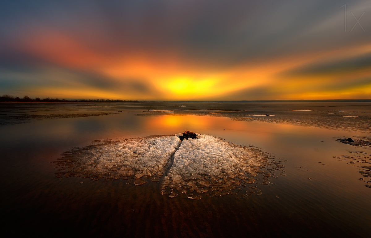 by sunset Poster och Canvastavla