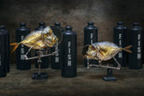 Moonfish and bottles with the inscription "Fish" Poster och Canvastavla
