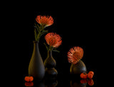 still life 105 Poster och Canvastavla