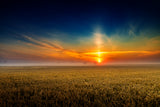 MorningLight Poster och Canvastavla