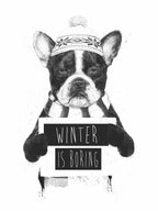 Winter is boring Poster och Canvastavla