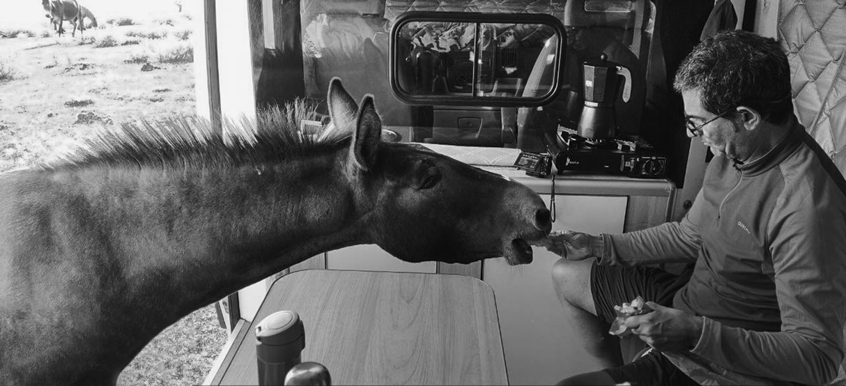 breakfast in camper van Poster och Canvastavla