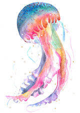 Jellyfish Poster och Canvastavla