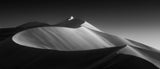 Curving Sand Dune Poster och Canvastavla