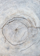 Pattern_wood_2 Poster och Canvastavla