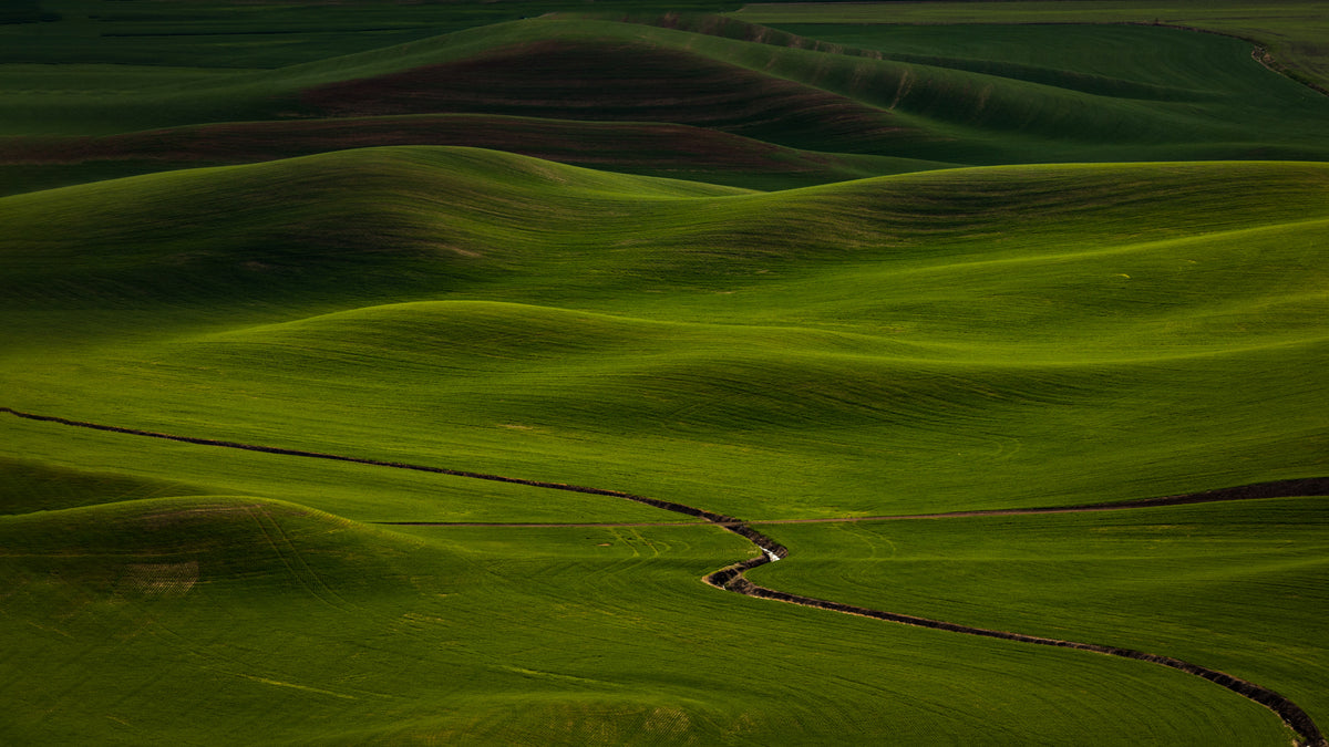 Rolling hills at Palouse Poster och Canvastavla