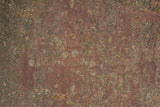 Rust 36 Poster och Canvastavla