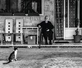 Grandmother and Cat Poster och Canvastavla