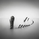 What's left behind Poster och Canvastavla