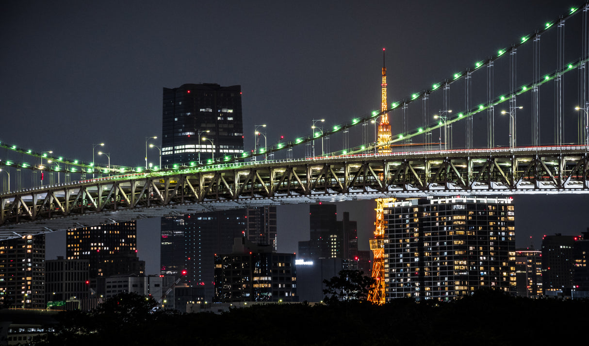 Rainbow bridge at night Poster och Canvastavla