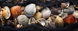 Beach Impressions No 29 Poster och Canvastavla