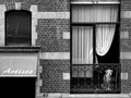 L´Artiste Poster och Canvastavla