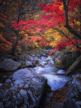 Autumn in the valley Poster och Canvastavla